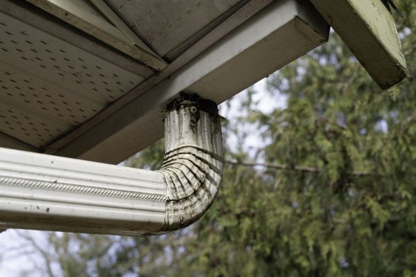 Cost of Downspout Cleaning in Portland