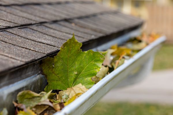 Cost of Commercial Downspout Cleaning in Portland