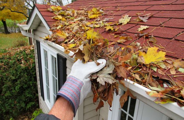 Cost of Emergency Gutter Cleaning in Portland