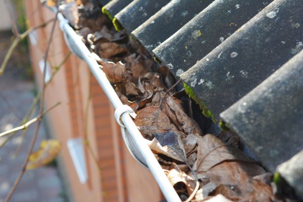 Cost of Home Gutter Cleaning in Portland