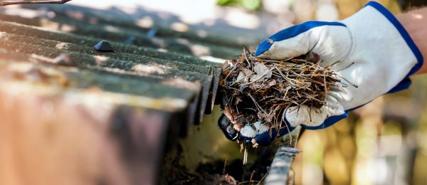 Cost of Pine Needle Gutter Cleaning in Portland