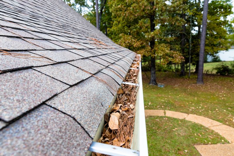 Gutter Cleaning Cost Factors