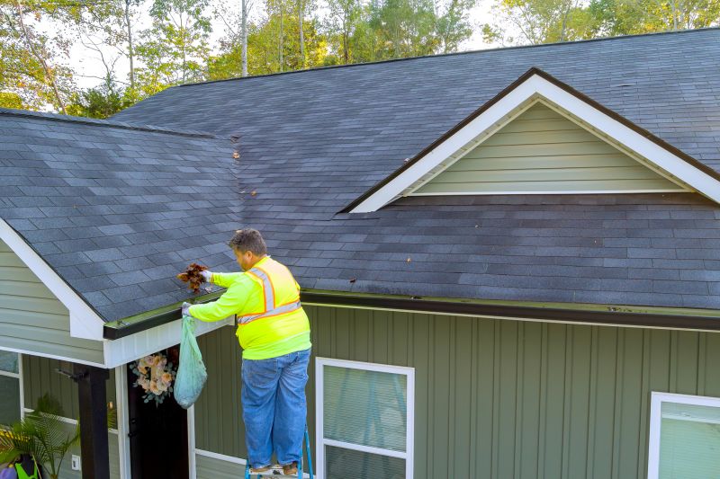 Benefits of Professional Gutter Cleaning